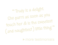 view more testimonials