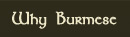 why burmese